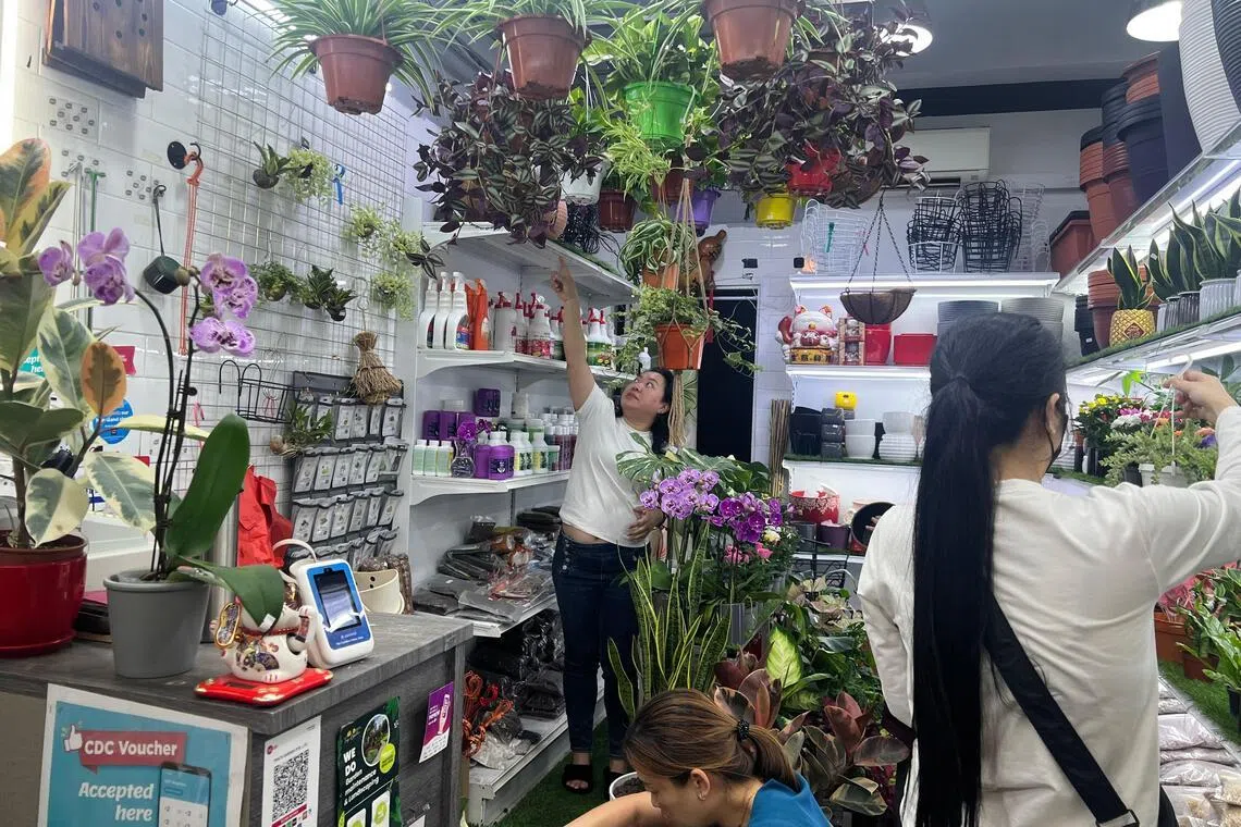 “廷苑花香”绿植店店主陈纯定（左一）认为，邻里购物券是最有效刺激消费的方式。（郭跃男摄）