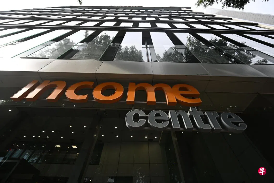 国会观察：英康的生存与社会使命| 联合早报