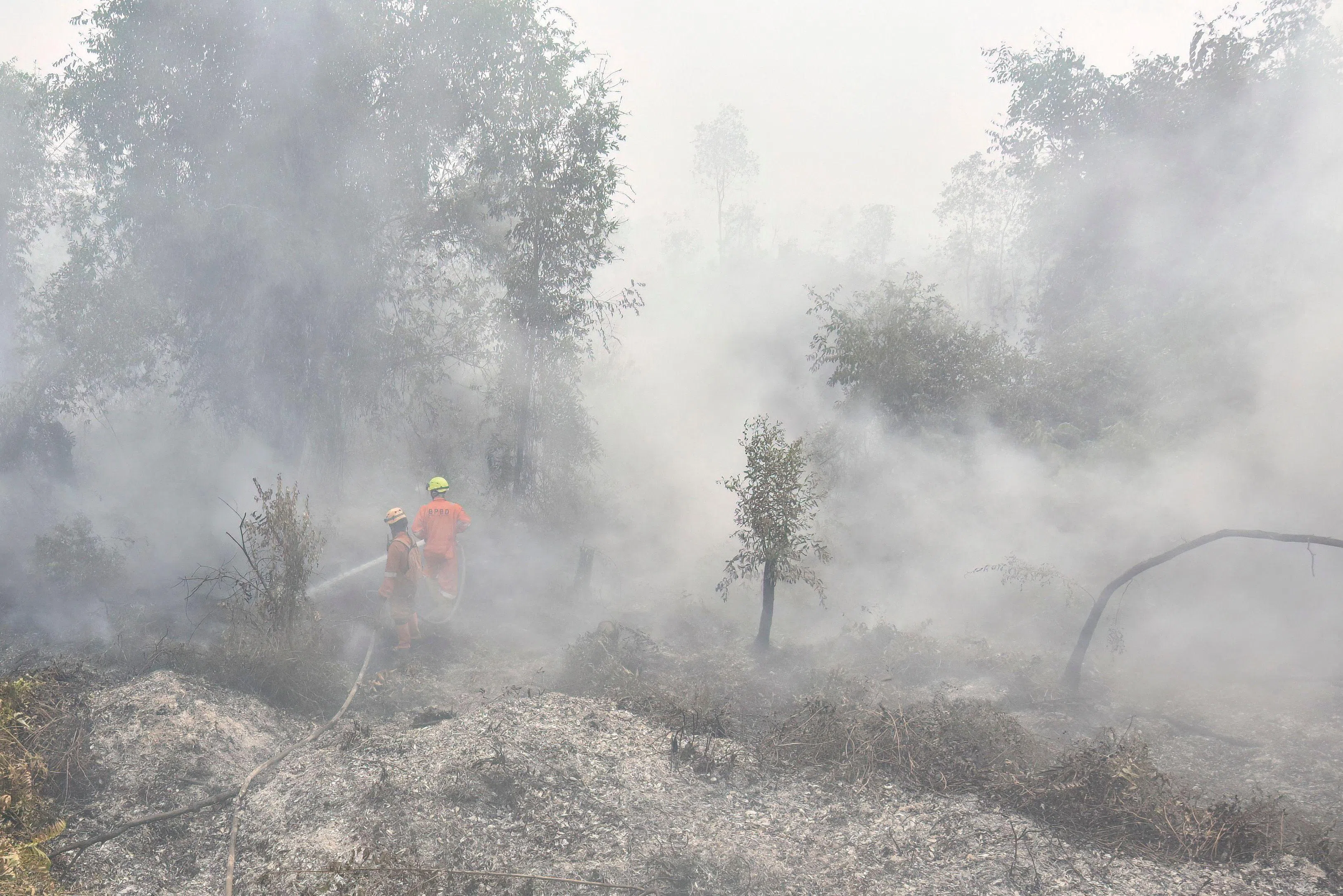 南加里曼丹省星期一（9月21日）仍有多处火点，图为消防员在班贾尔扑灭森林与土地火灾。（法新社）