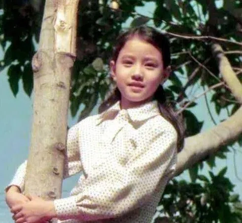 周海媚求学时曾多次在学校晕倒送医。（互联网）