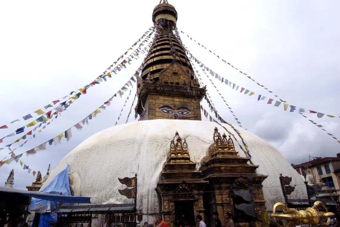 由于山坡上常有猴群出没，斯瓦扬布纳特寺也称为“猴庙”。（档案照）