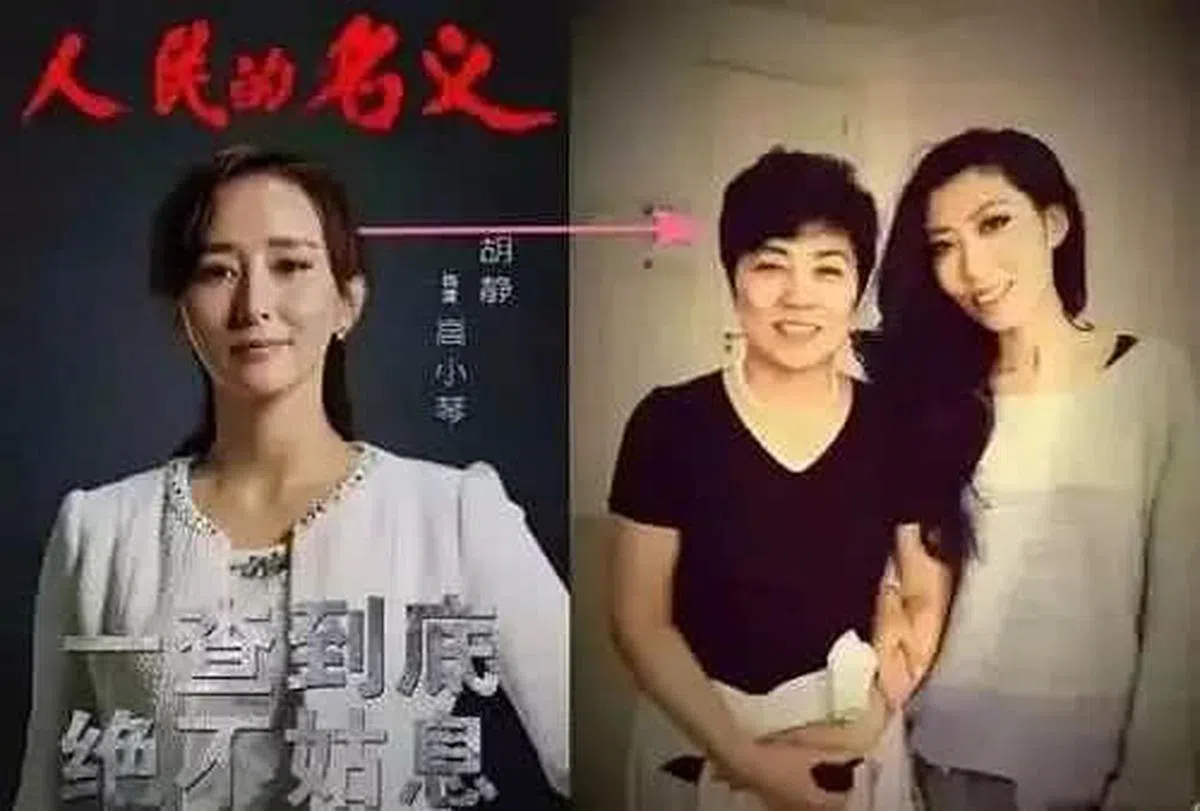 曲婉婷母亲张明杰案，据说后来也被作为原型改编进反腐电视剧《人民的名义》，成为剧中的“大风厂事件”。（互联网）