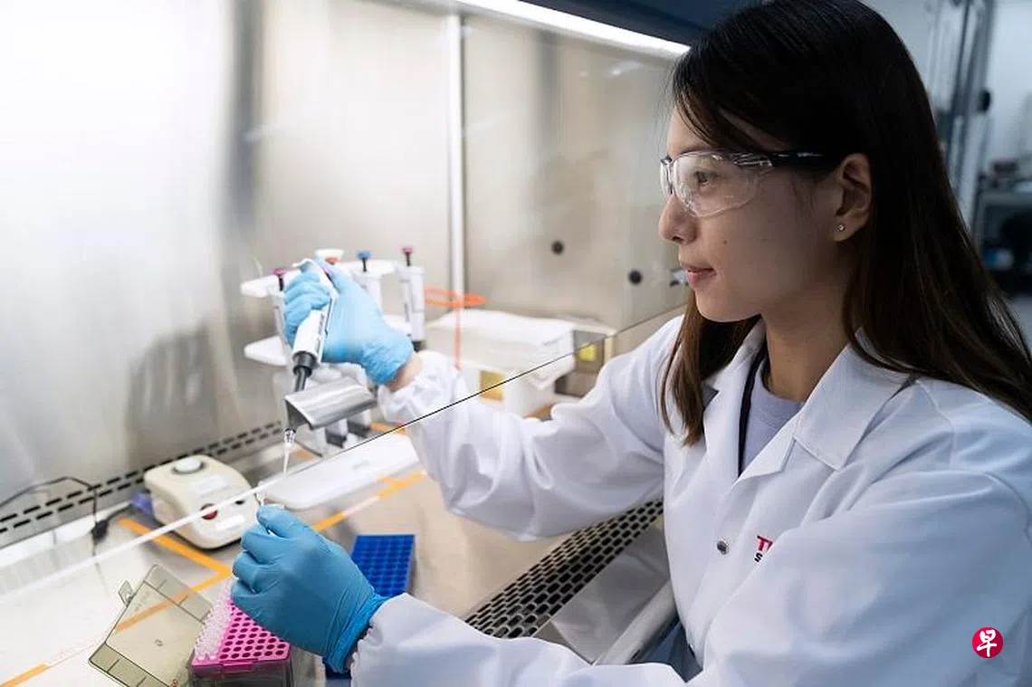 本地团队成功研发冠病唾液检测| 联合早报