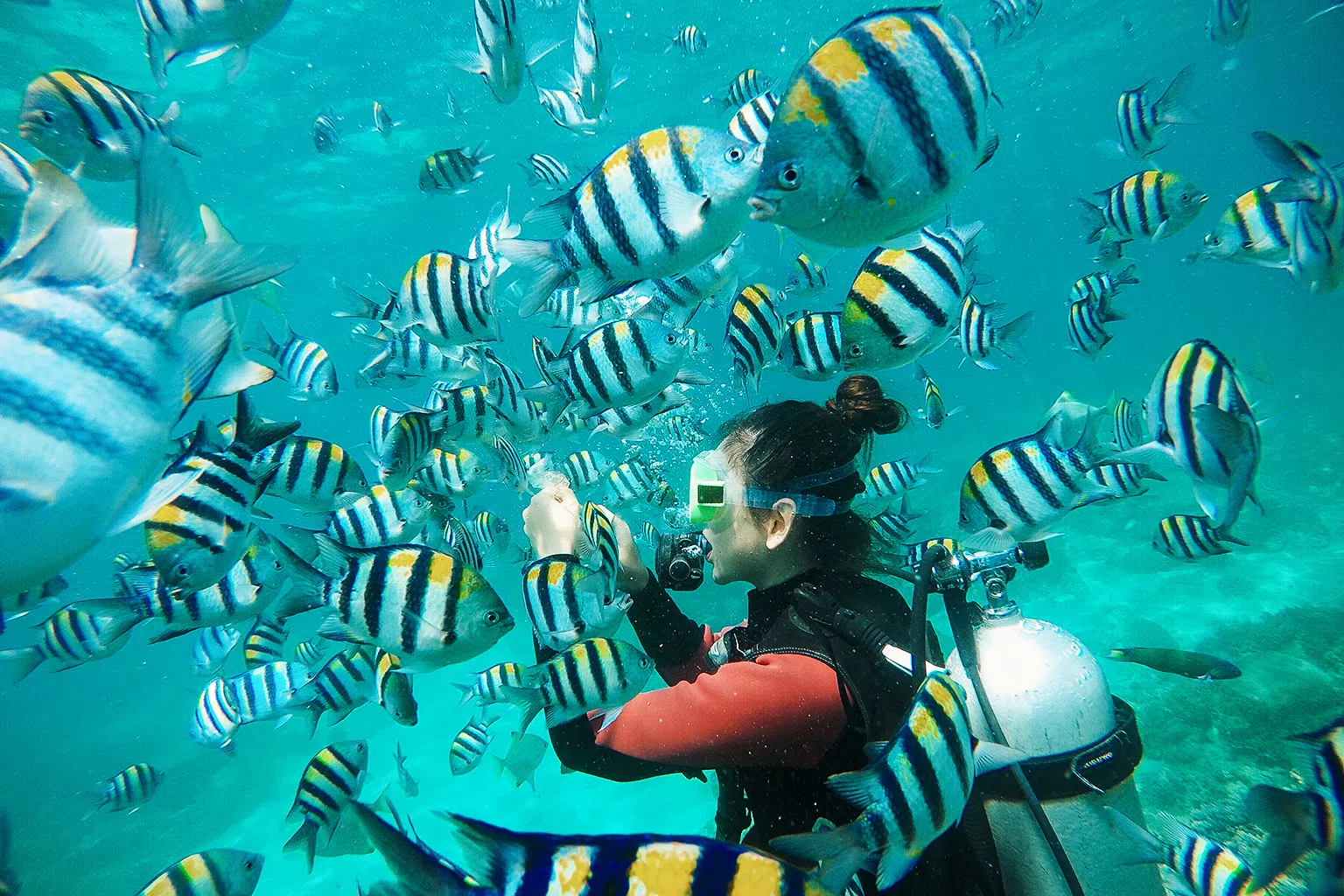 在清澈见底的三亚海域里与鱼共舞。（图/三亚市旅游发展局提供）