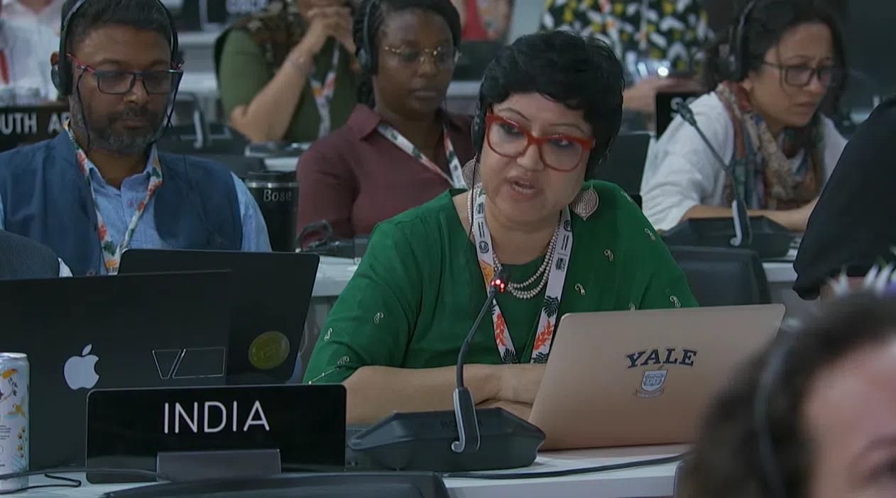 印度代表为立场相近发展中国家发言说，一些国家在关键事宜敲槌通过后才提出反对是危险的行为，令人担忧。（视频截图）