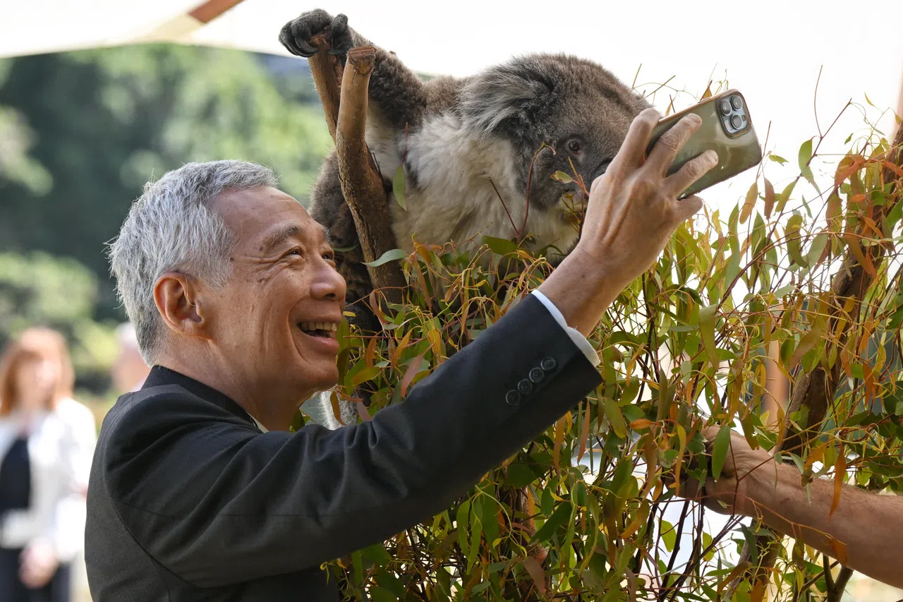 李显龙总理星期三在澳洲维多利亚州总督府出席亚细安—澳洲特别峰会非正式会议，在会前与树熊自拍。（海峡时报）
