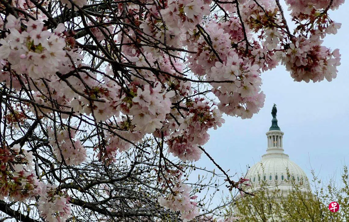美众议院通过两项涉中国法案| 联合早报