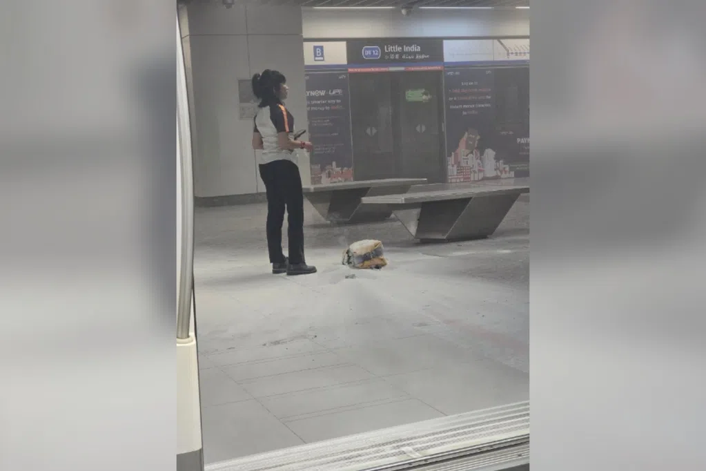 小印度站月台上充电宝自燃 一人呼吸急促一人蒙受轻伤