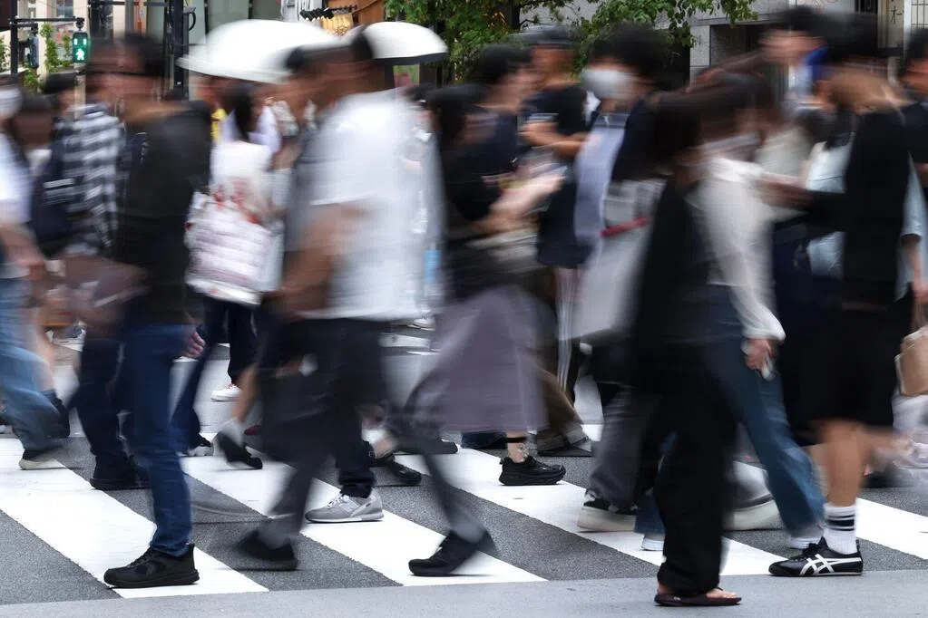 日本今年以来累计报告72起蜱虫病病例