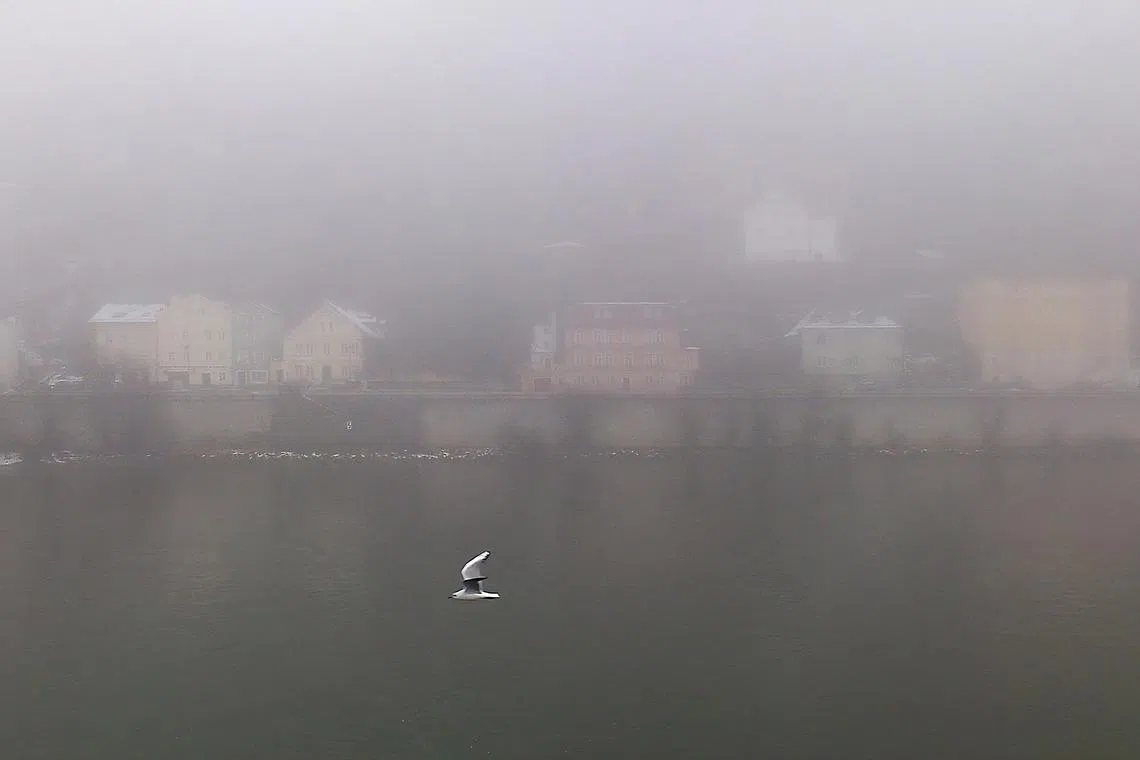 浓雾弥漫的清晨。（作者摄）