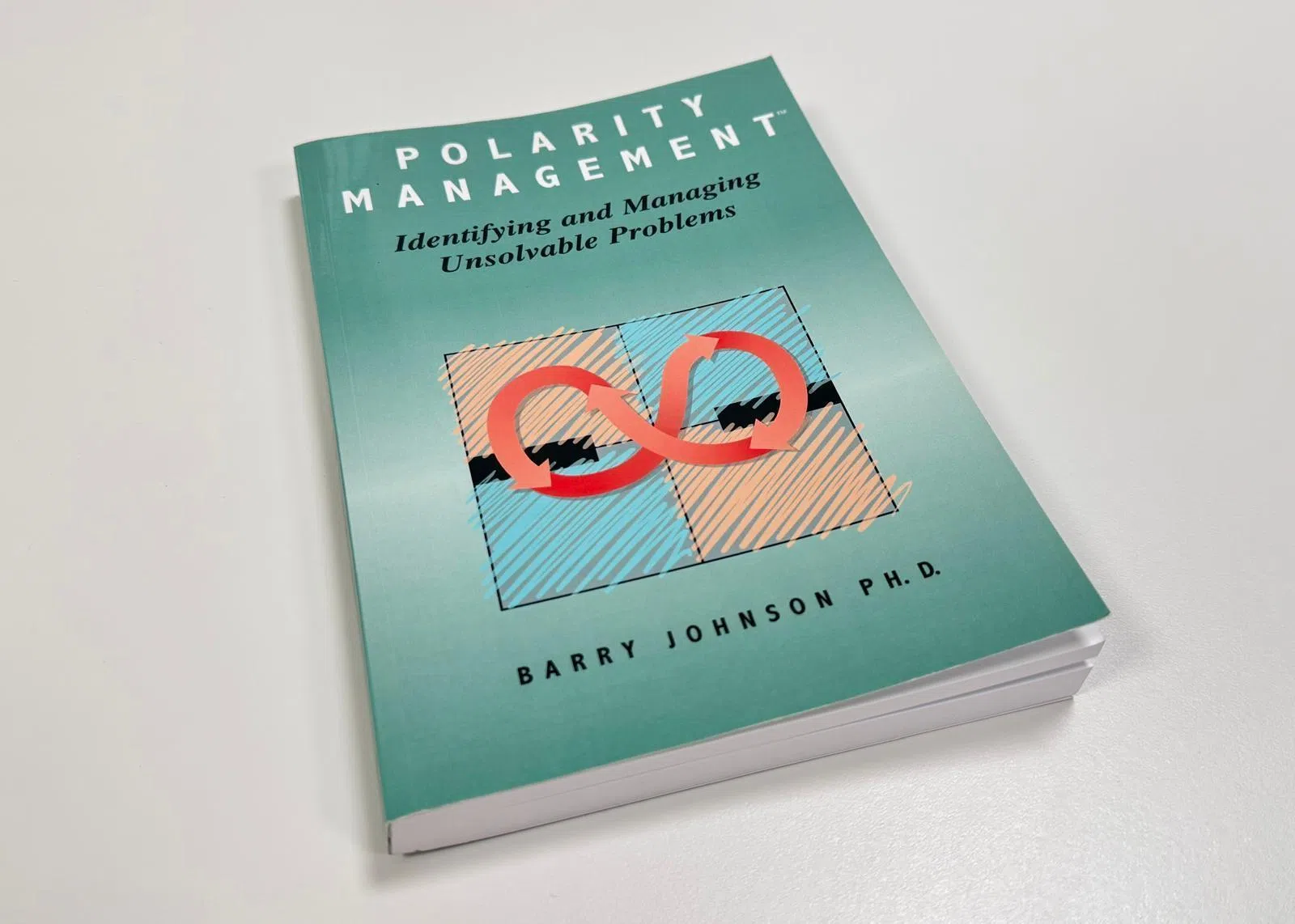 刘俊铭去年阅读了巴里·约翰逊（Barry Johnson）的著作，《极性管理：辨识与管理无法解决的问题》（Polarity Management: Identifying and Managing Unsolvable Problems）。（刘俊铭提供）