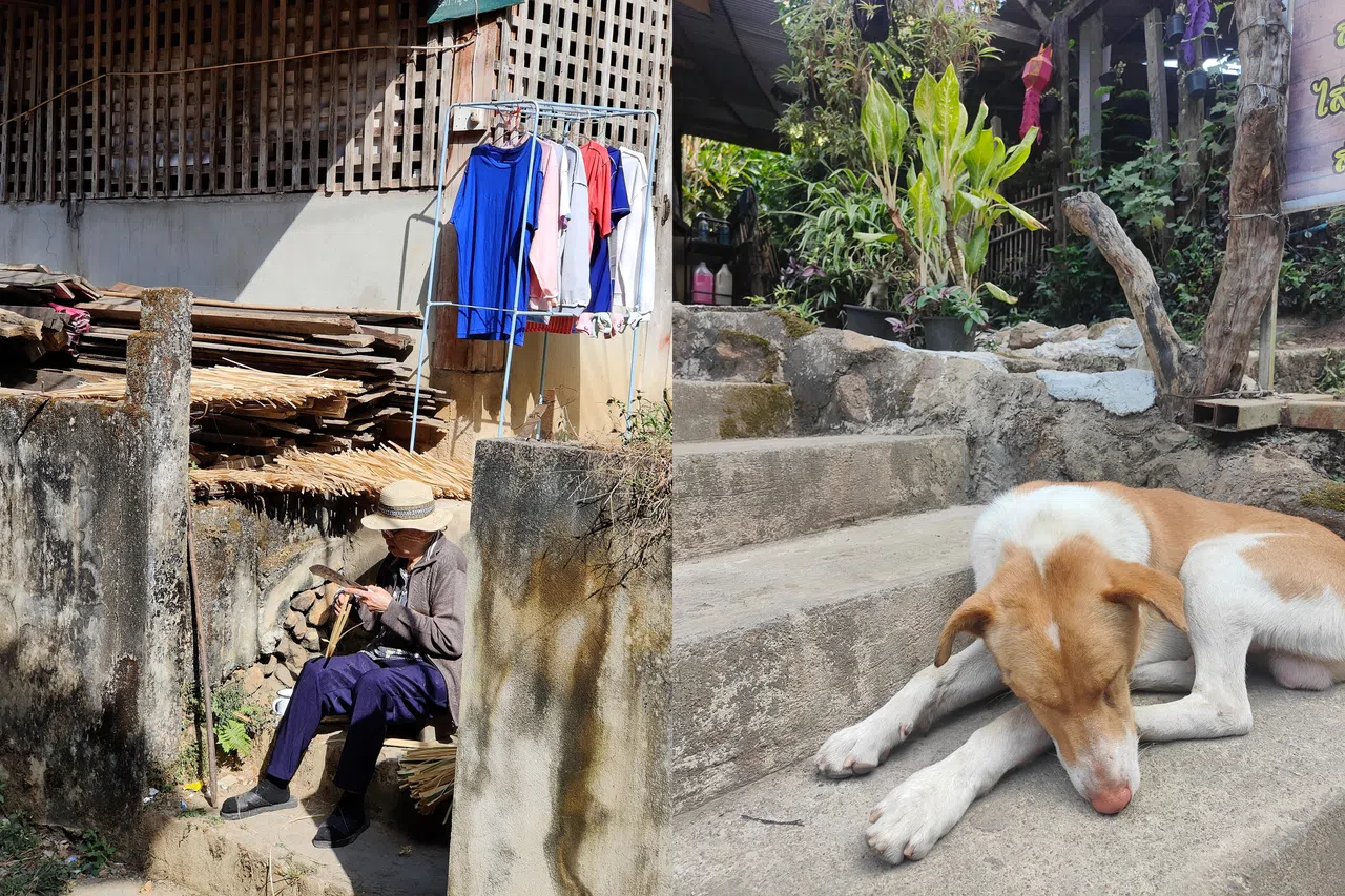 妇人在门前破竹，粉鼻狗在大街睡，这是湄康蓬的日常。（陈默汎摄）