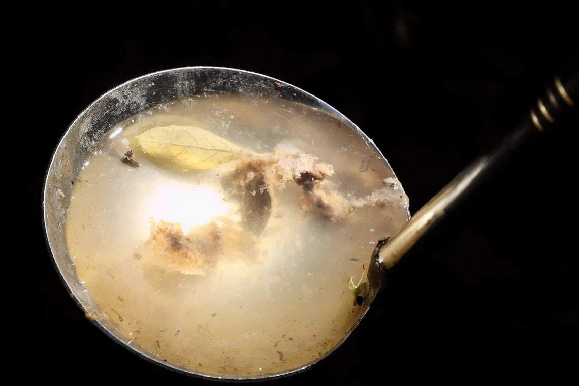 工作人员在排水沟发现一处积水，并在水中发现疑似伊蚊幼虫，水中发出阵阵臭味。（邬福梁摄）