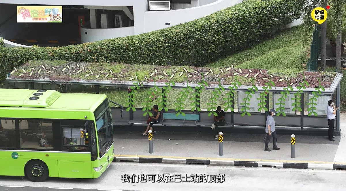 除了屋顶花园，李睿敏建议在巴士和巴士站的顶部也可以种植一些花草。