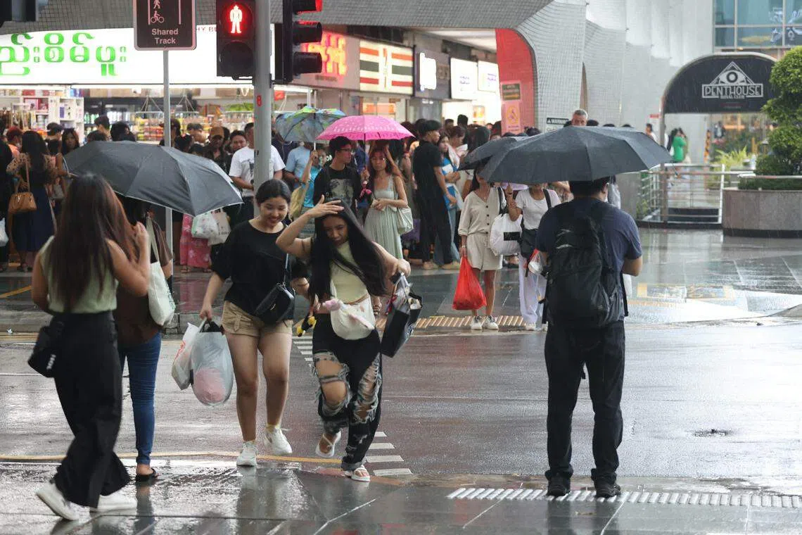 根据全岛32个气象站记录的平均值，去年的总降雨量为2866.1毫米，比长期平均降雨量高13.1％。（梁麒麟摄）