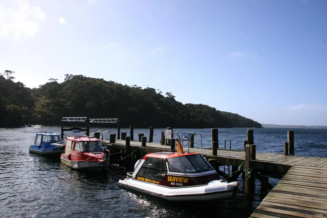 斯图尔特岛上人家的小船。（施莉芳摄）