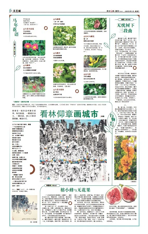 2025年7月开始，《文艺城》推出“万物共生”自然书写系列。（档案照）