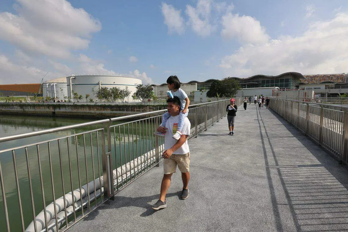 落成的东部走廊连接东海岸公园和白沙公园，涵盖了新的勿洛公园连道（长600米），以及最近刚完成的淡滨尼9道和10道的公园连道（总长3.2公里）。（唐家鸿摄）