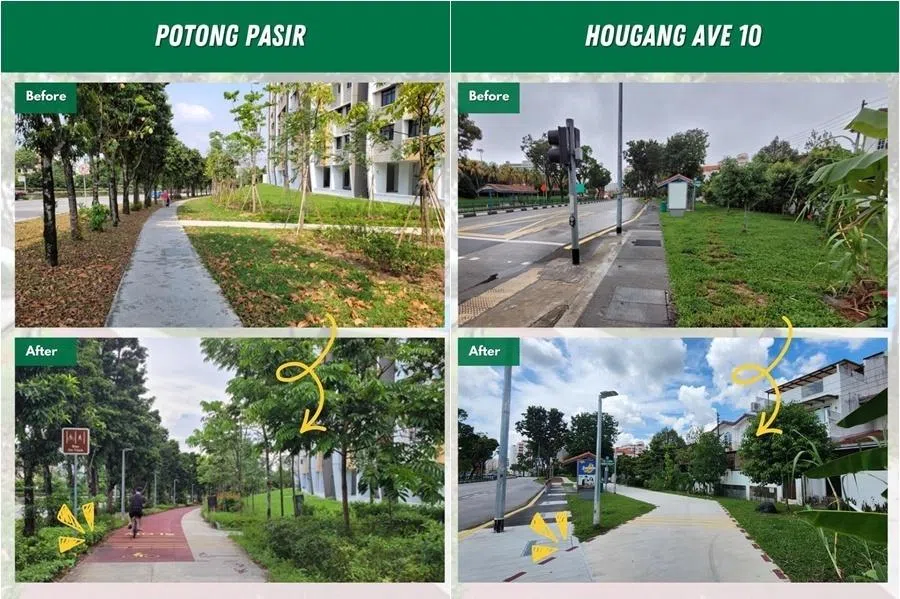 东部与东北部今年建成51公里脚踏车道