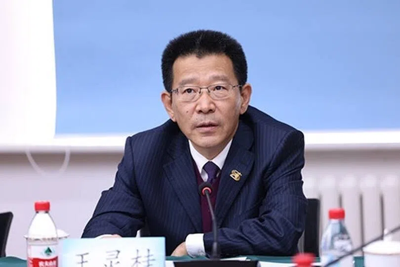 王灵桂被免去港澳办副主任职务 已任侨联主席