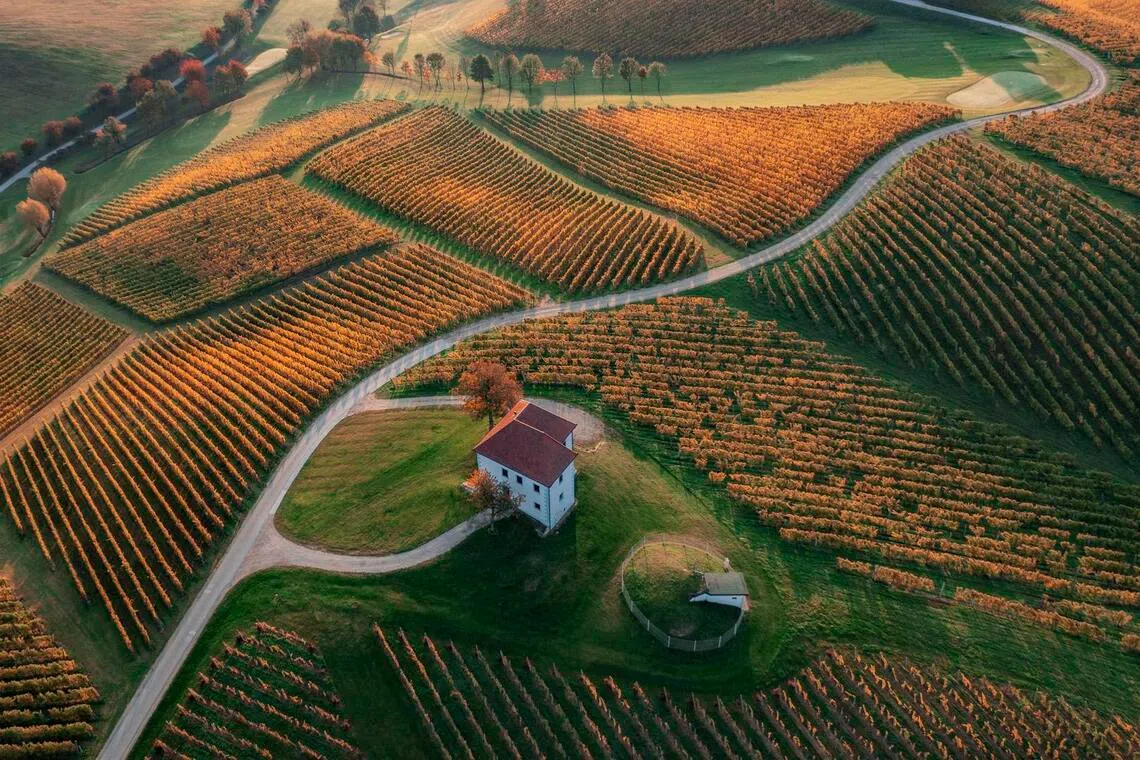 彩色公开组PSS表扬奖（丝带）：暖色的怀抱中／Jure Kravanja（斯洛文尼亚）（新加坡摄影学会提供）