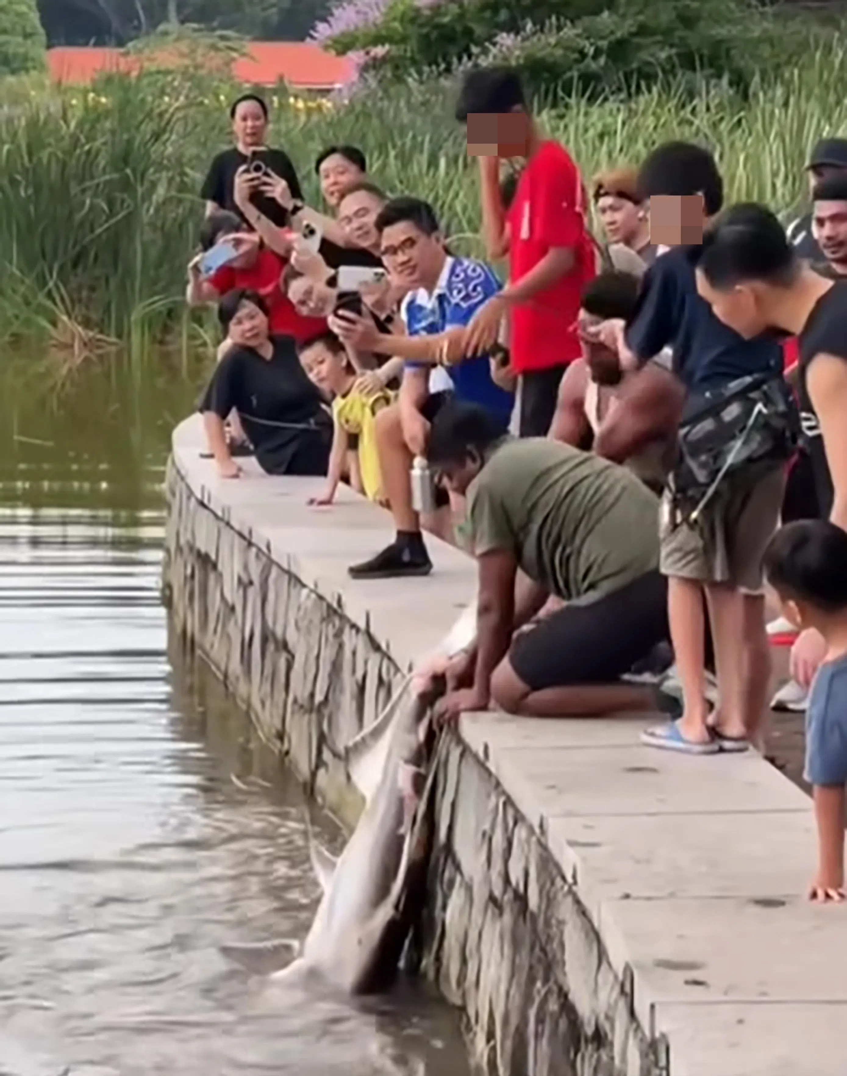 四名男生钓起鲶鱼时，吸引好奇的路人围观。（脸书视频截图）