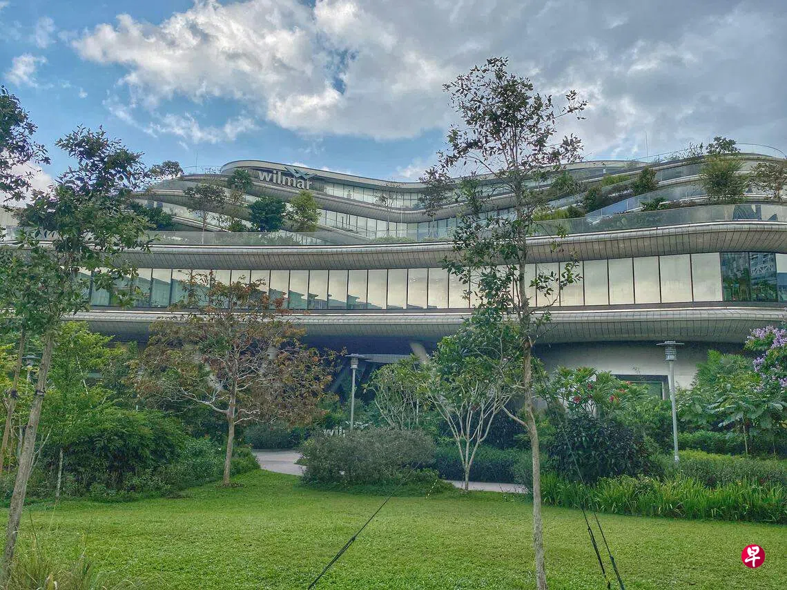 丰益国际澳洲糖厂出招将禁止罢工者入厂上班| 联合早报