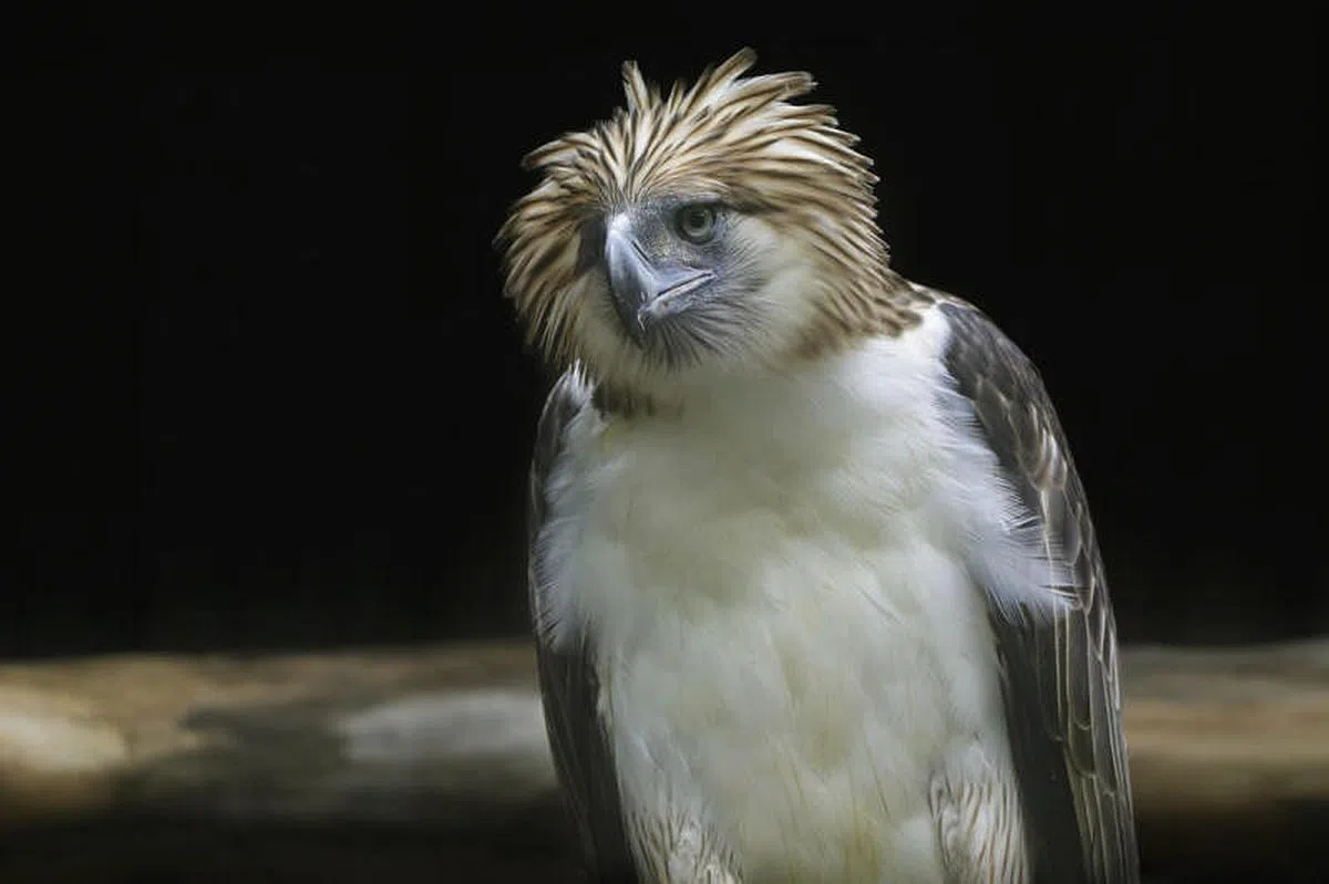 （万态保育集团提供）