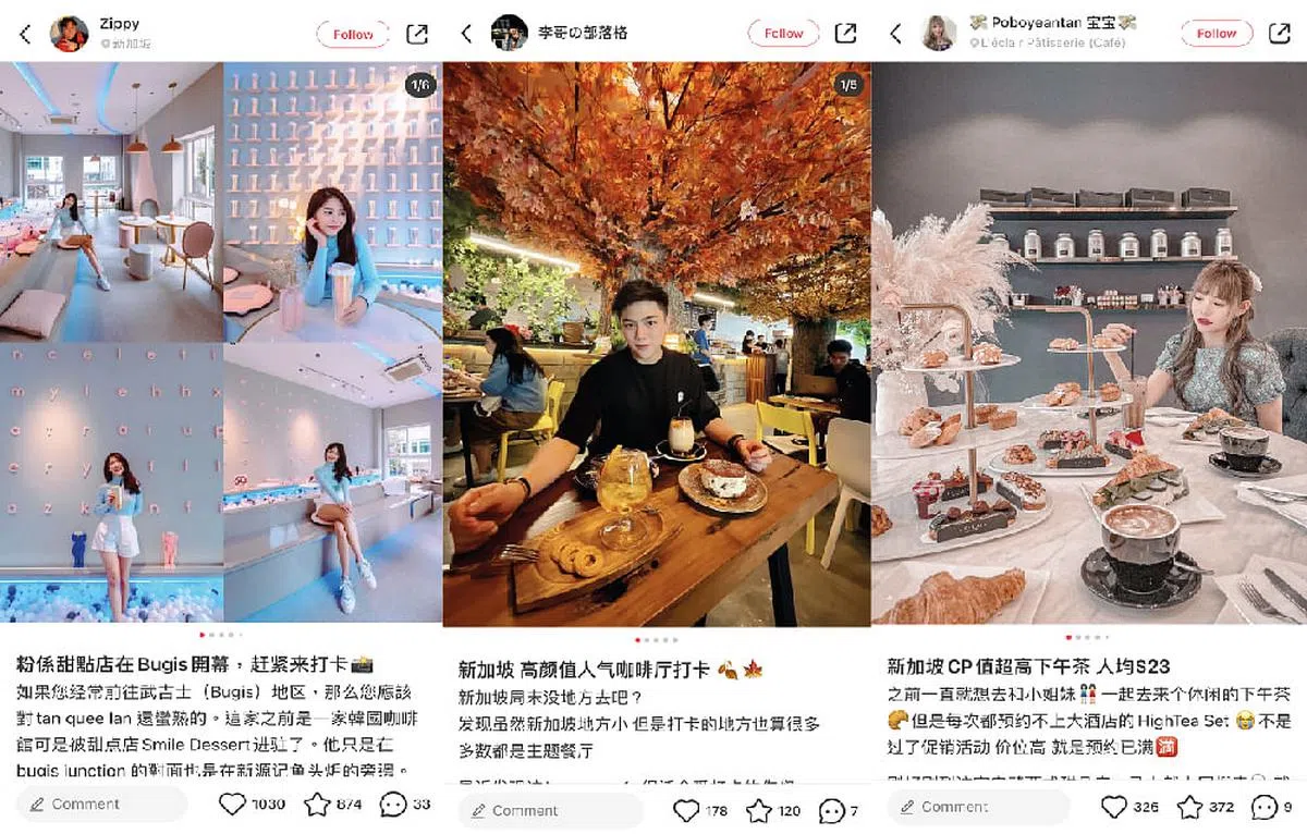 介绍本地甜点的小红书博主。（取自Zippy、李哥の小红书、Poboyeantan宝宝小红书） 