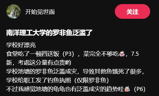 小红书上传，南大湖的罗非鱼不受控繁衍，南大职工称获校方批准，以垂钓控制罗非鱼数量。（取自小红书）