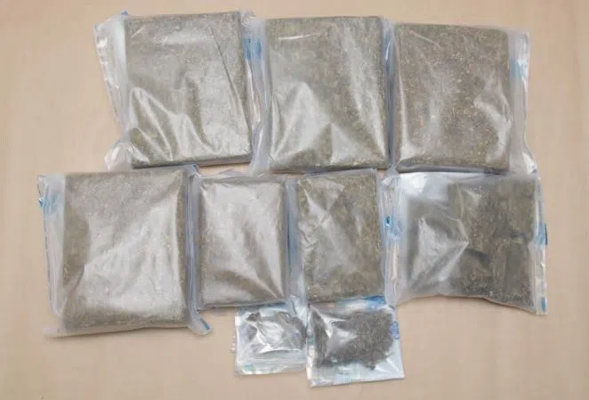 肃毒员在盛港芬薇街的一个住宅单位起获5.547公斤的大麻。（中央肃毒局提供）