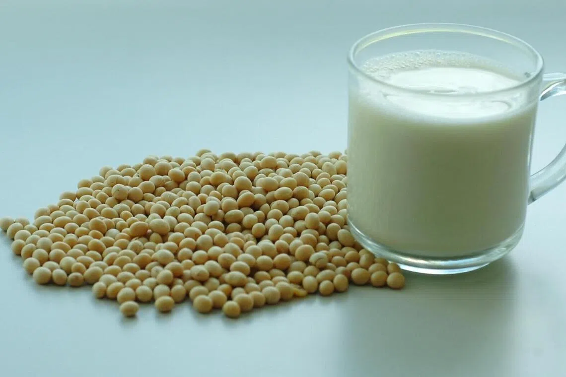 大豆制品如豆浆是良好蛋白质来源。（档案照）