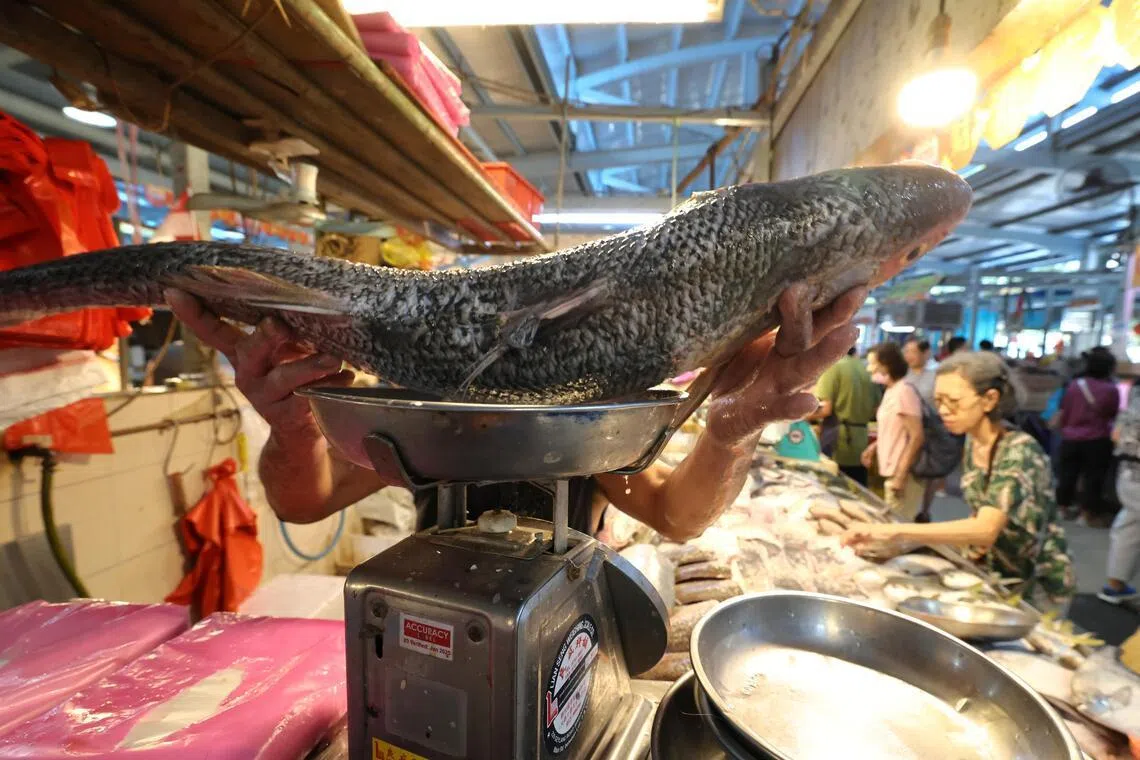 过年少不了吃鱼，因为“鱼”与“余”同音，寓意年年有余，鱼摊上的斗鲳、石斑鱼和海虾都相当热销。（梁麒麟摄）