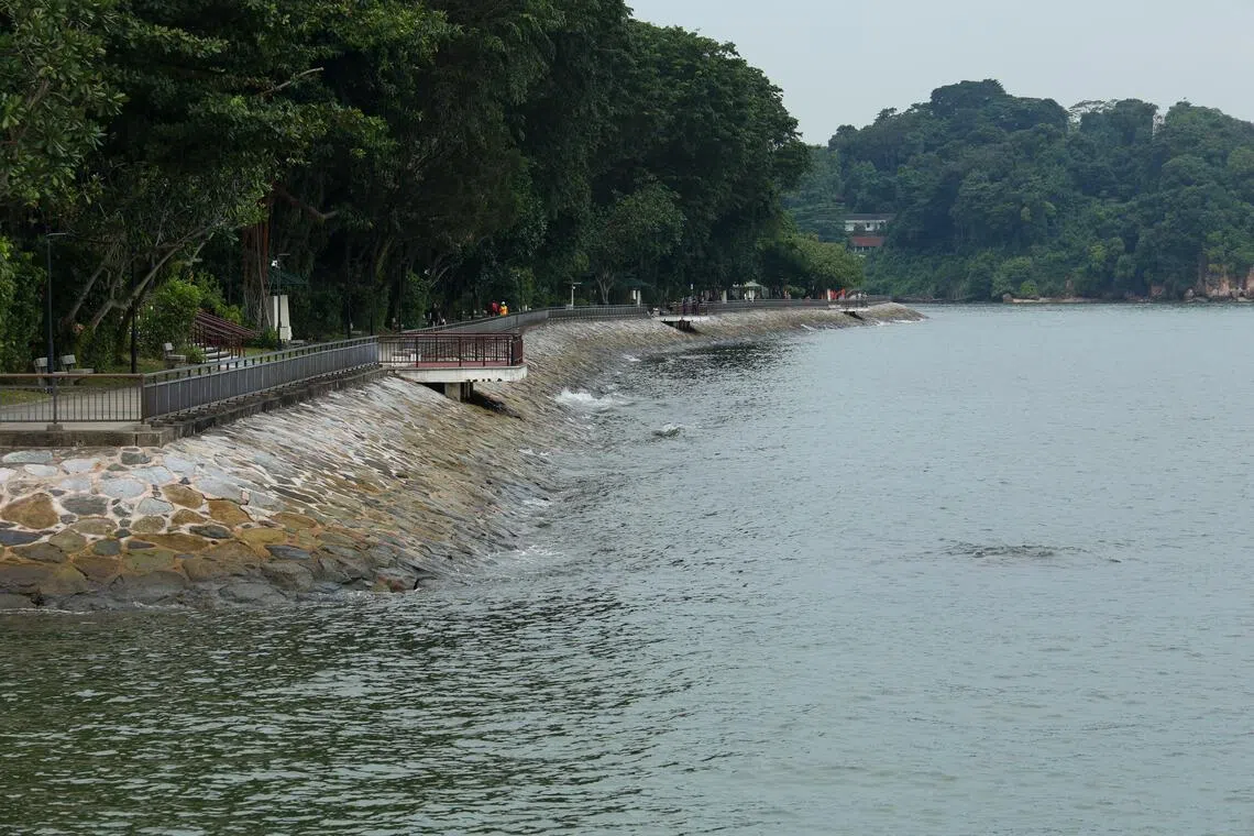 根据我国第三次全国气候变化研究报告，如果碳排放居高不下，新加坡周围的平均海平面到本世纪末可能上升0.54米至1.15米。（张俊杰摄）