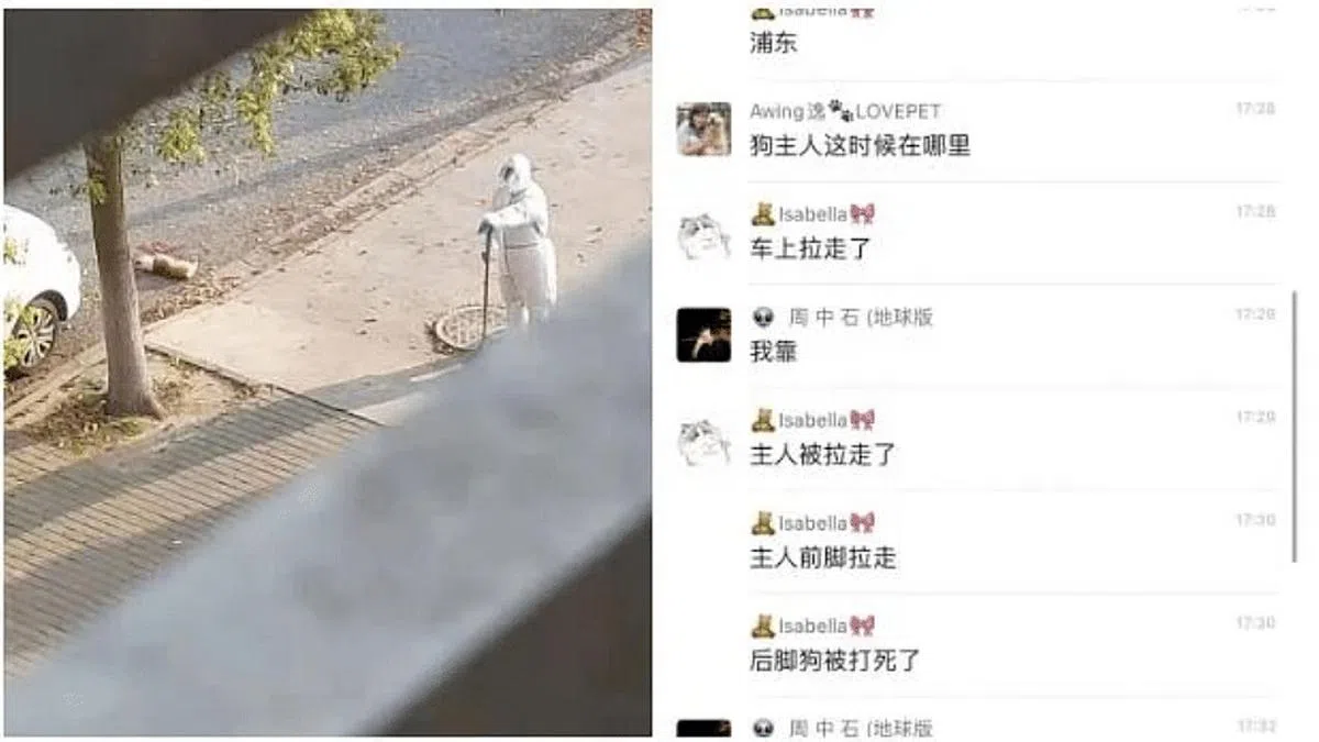 今年4月互联网流传的一则视频显示，身穿白色防疫服的工作人员，在上海某小区内的道路边拿铁锨不停敲打一只小狗，将其活活打死。（互联网） 