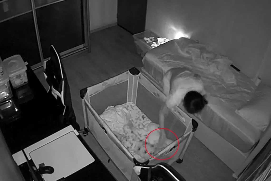 被告多次虐待小主人。（档案照片）