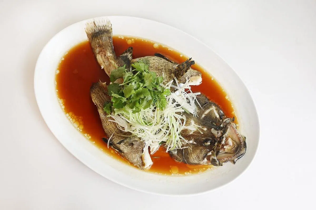 港式蒸龙虎斑的鱼皮胶质丰富，鱼肉肥美鲜嫩。（陈渊庄摄）