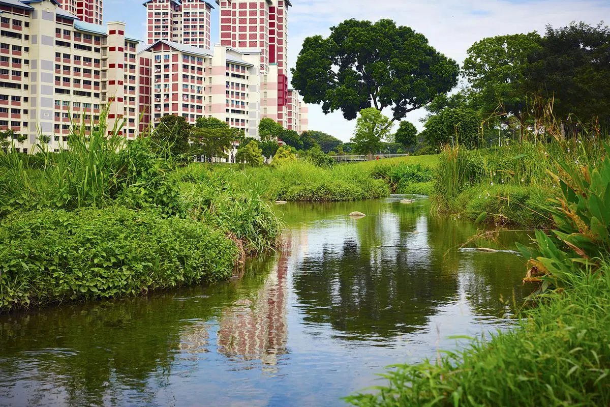 碧山-宏茂桥公园成功打造成多功能公园。（图/国家公园局提供）