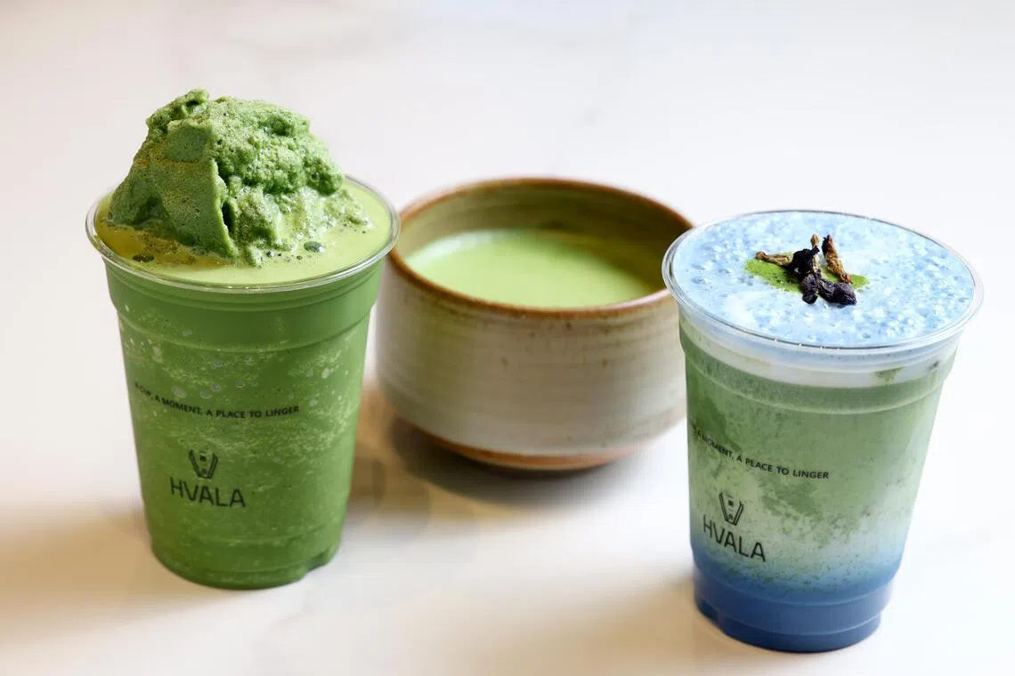 本地茶馆Hvala的抹茶饮料选择多，从纯抹茶、冰沙，到调味抹茶拿铁如蝶豆花拿铁。（档案照）