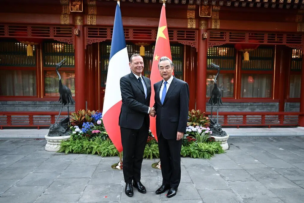 王毅：中法有责任维护国际和平稳定