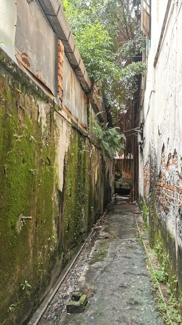 通往店后卫生间的巷子，就像走入时光隧道。 （陈爱薇摄）