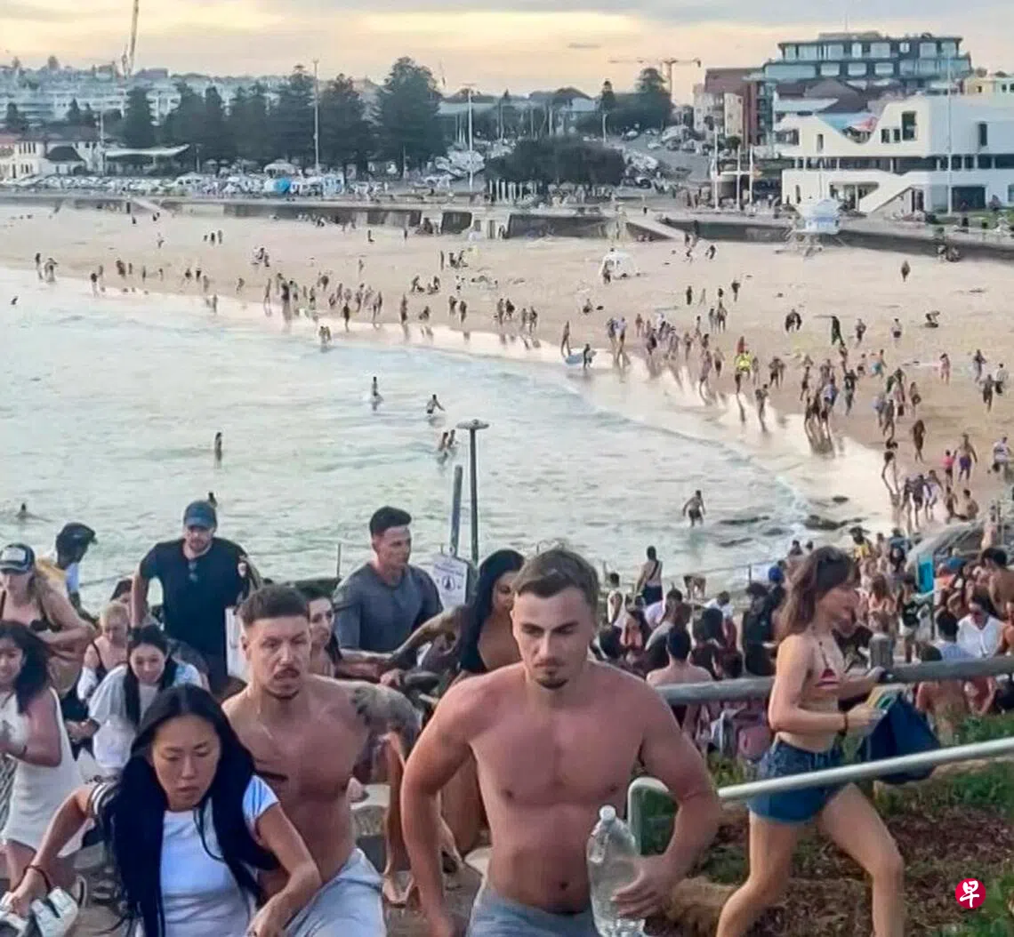 澳洲邦迪海滩发生针对犹太人恐袭造成11死数十伤枪手一死一重伤| 联合早报