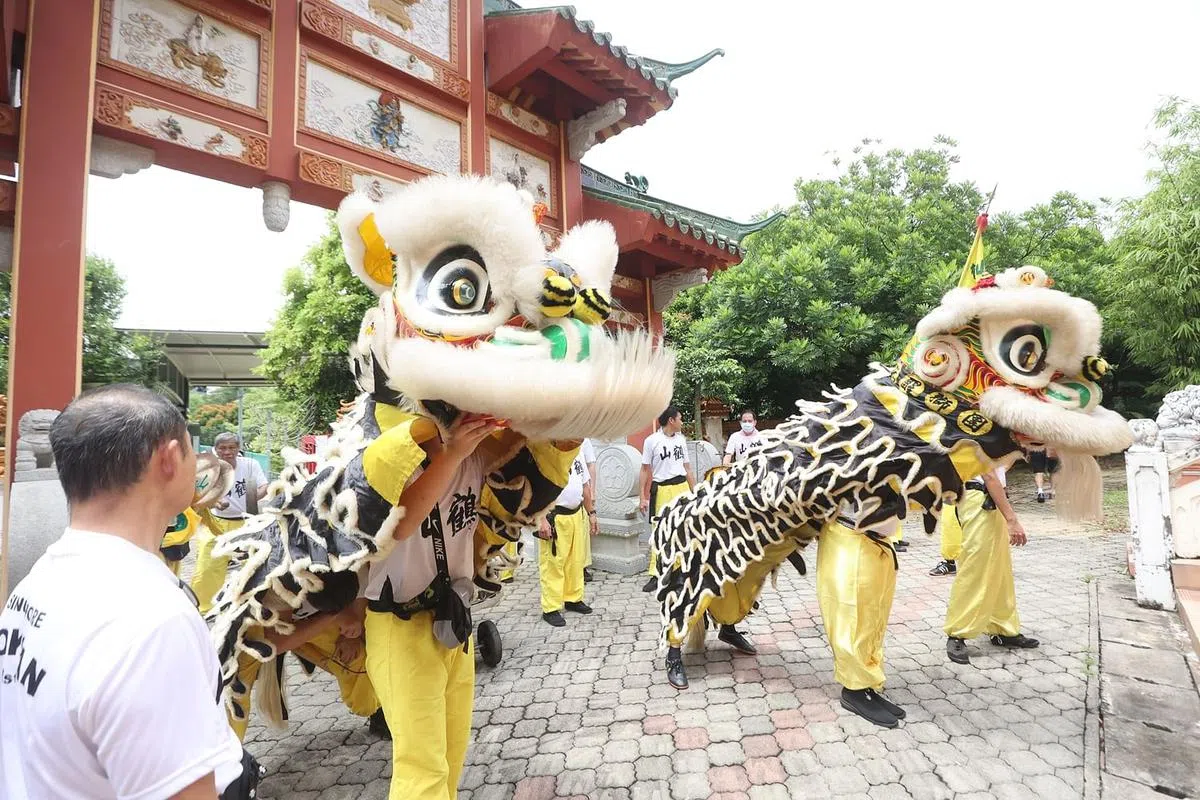 鹤山会馆狮队是本地历史最悠久的狮队。（陈斌勤摄）