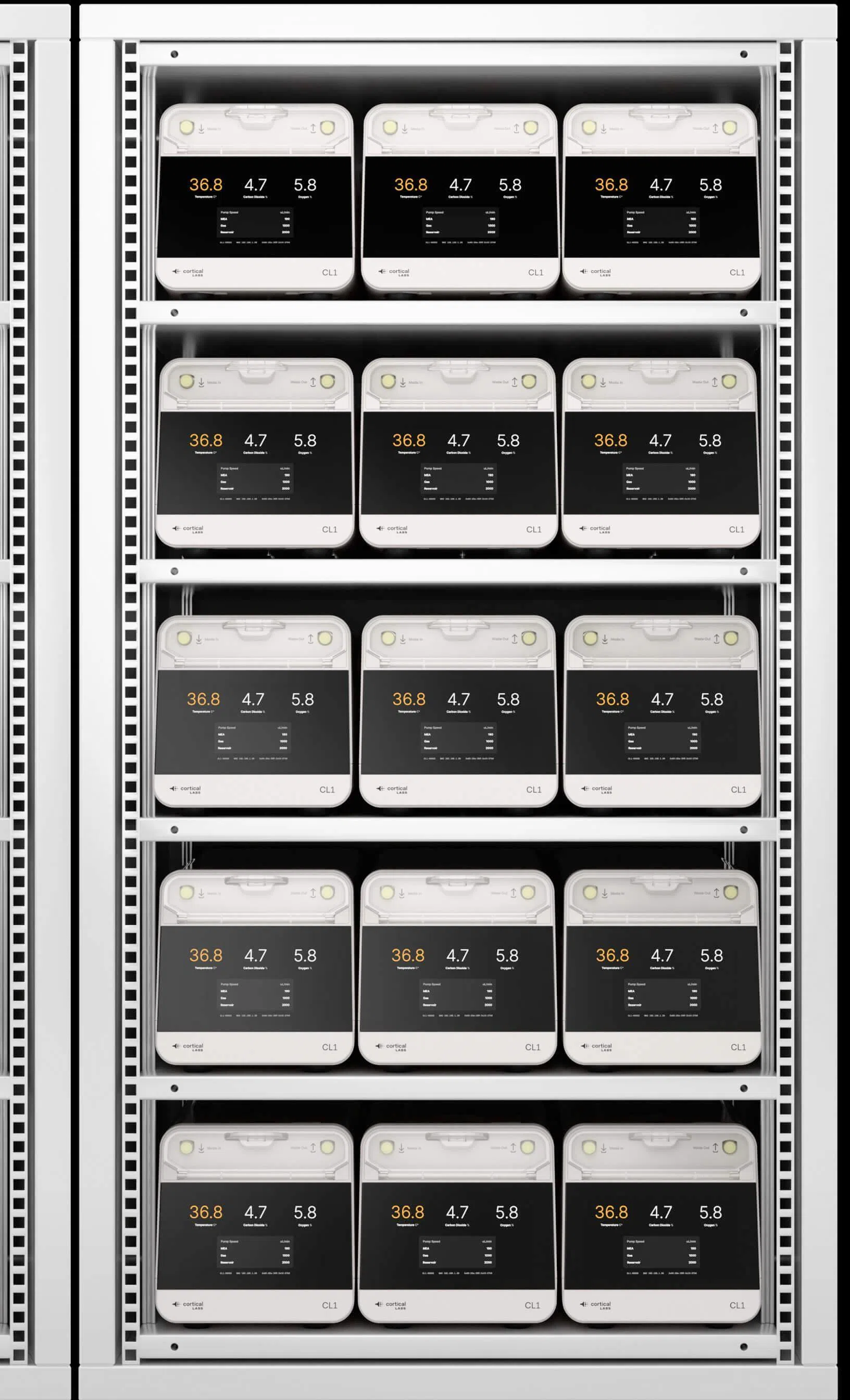 图中的是云服务器机架，由CL1生物电脑组成。（Cortical Labs提供）