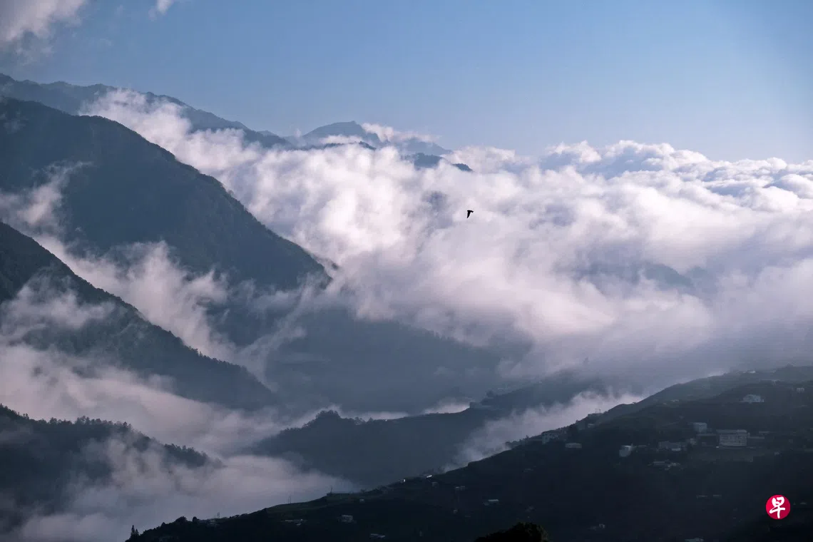 梨山，清晨，如仙境般美丽。 （林道锦摄）