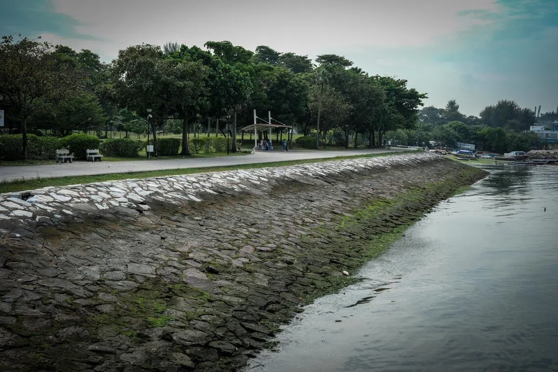 西南海岸研究涵盖约116公里海岸线，从大士一直延伸到巴西班让，包括图中的西海岸公园也是研究的一部分。（曾坤顺摄）