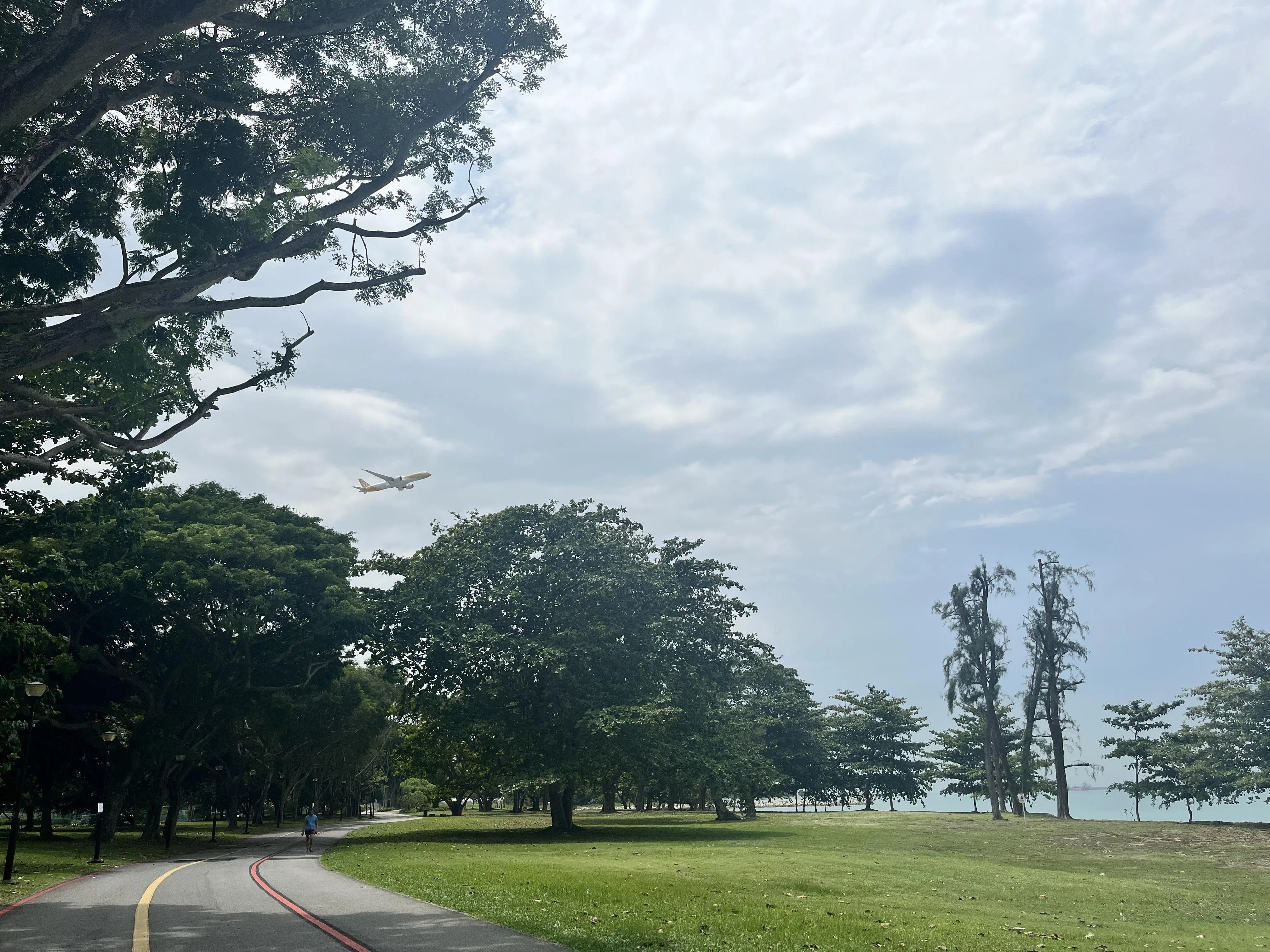 看飞机划过天际，提醒我们还有很多地方等待探索。（陈映蓁摄）