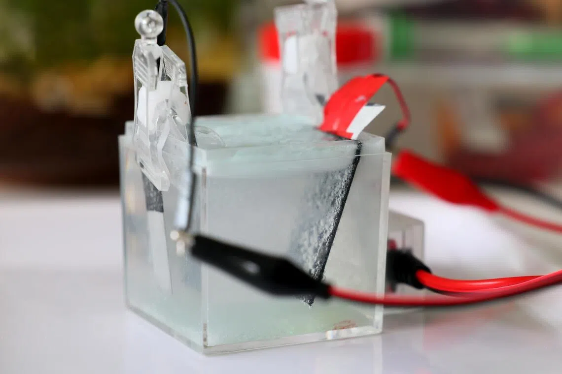 张桥采用的电蚀刻技法，使版画制作更安全和环保。（龙国雄摄）