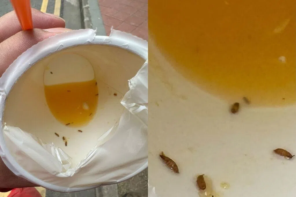 男子指贩卖机橙汁 杯底惊现虫子