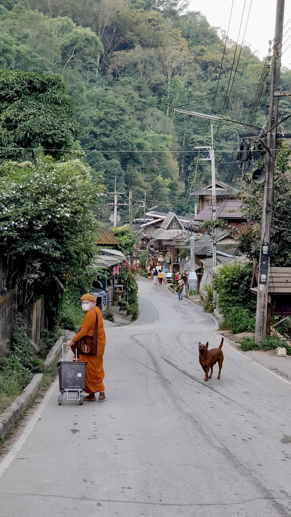 僧人到村里托钵乞食，神犬紧随左右。（陈默汎摄）
